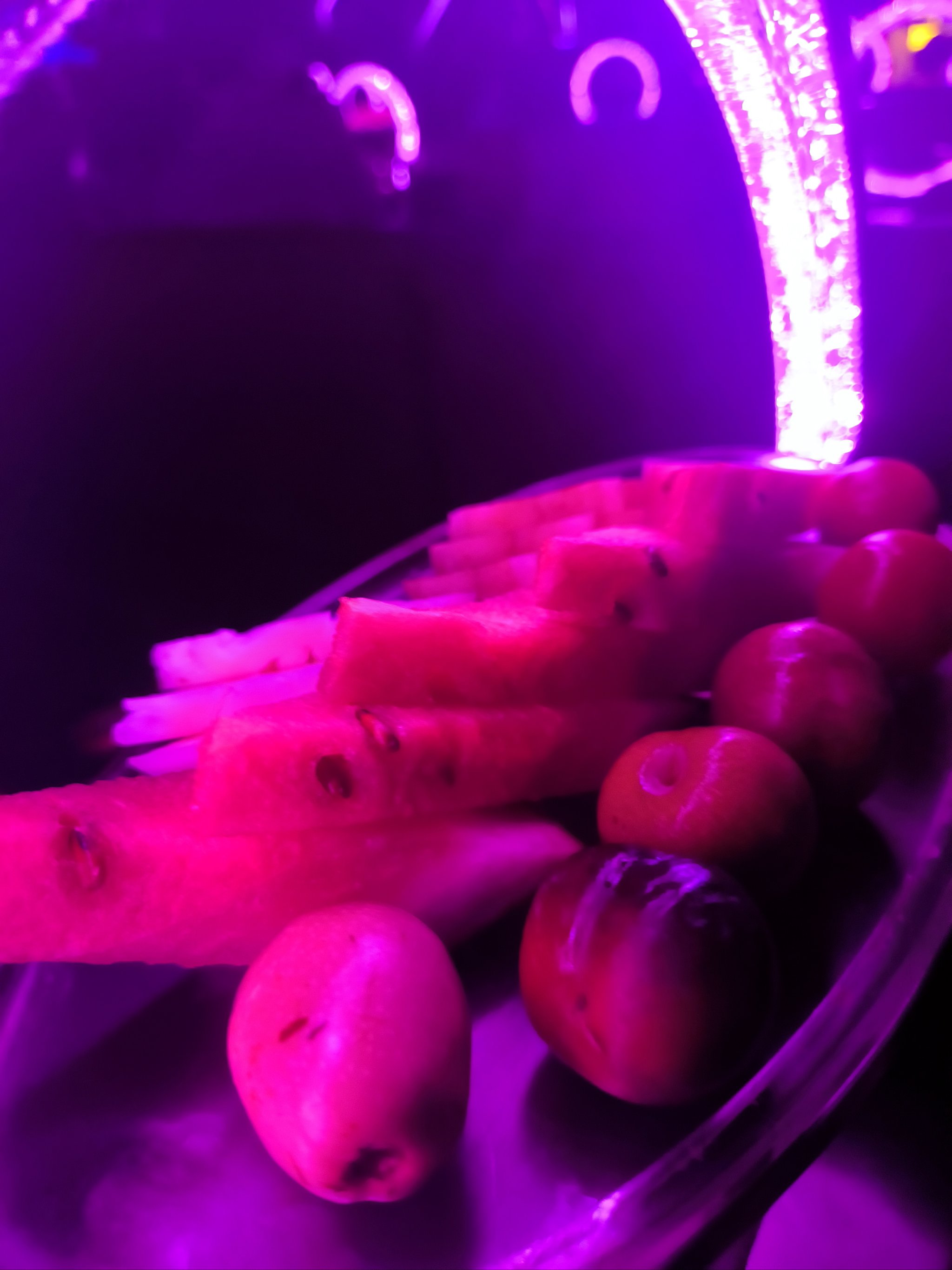 昭通商务KTV比片场有何不同-昭阳区ktv预定